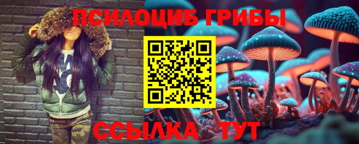 Галлюциногенные грибы Psilocybe Владикавказ